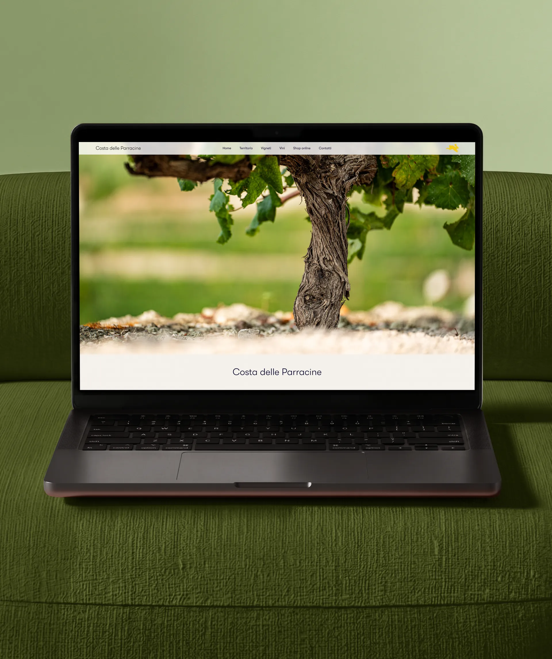 Pagina dei vigneti Costa delle Parracine visualizzata su laptop