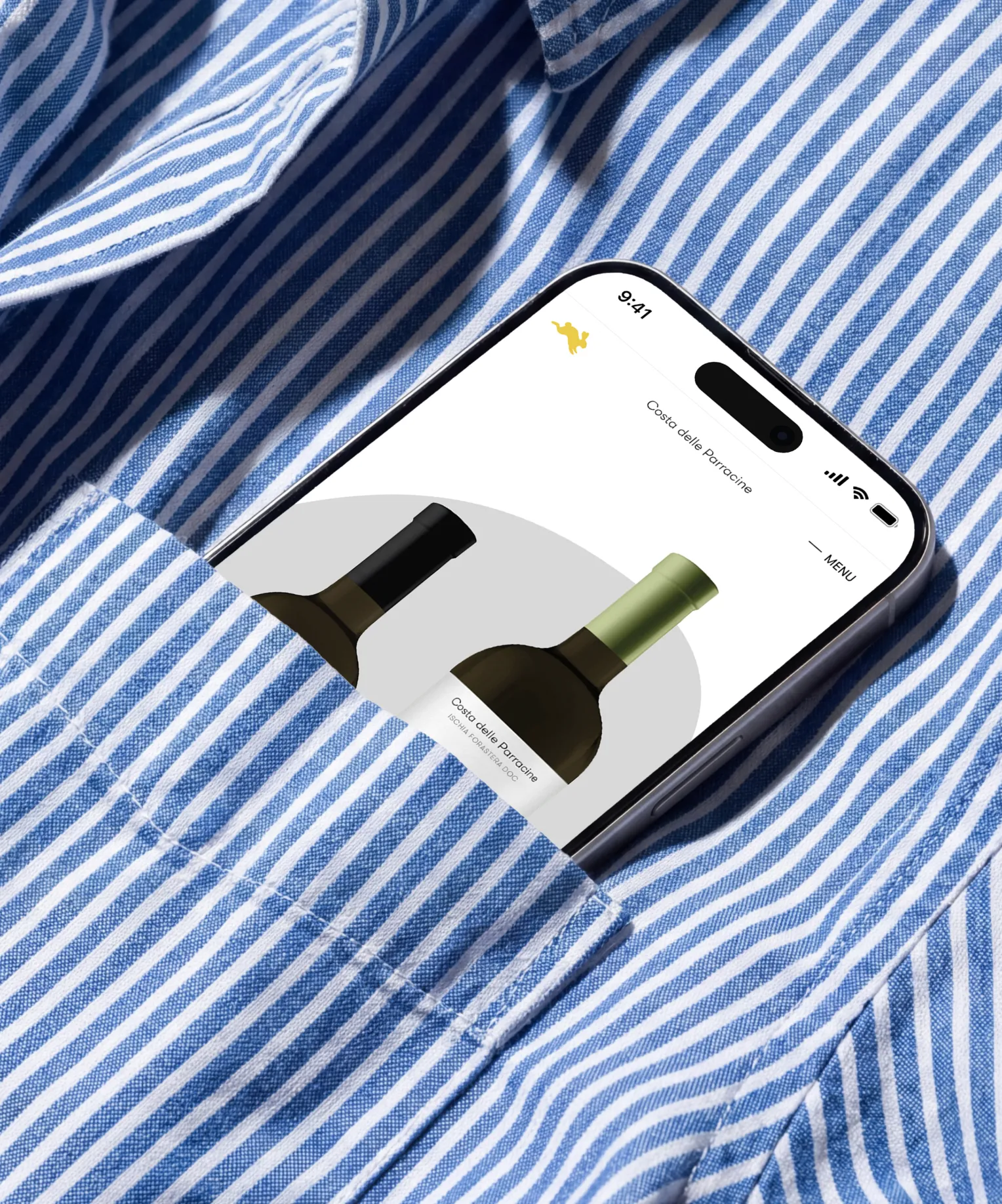 Pagina dei vini Costa delle Parracine visualizzata su smartphone